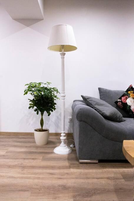 Le Logis D'Alsace, Wifi,Tv,Parking,70 M2 Apartment Ettendorf Luaran gambar